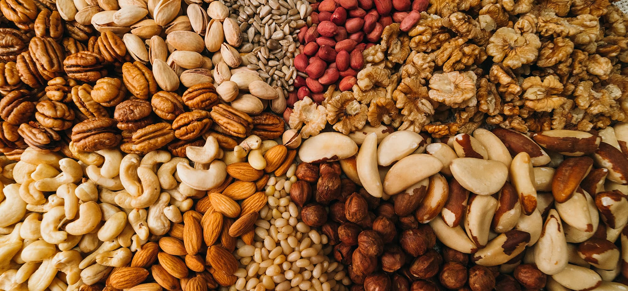 A collection of different types of tree nuts